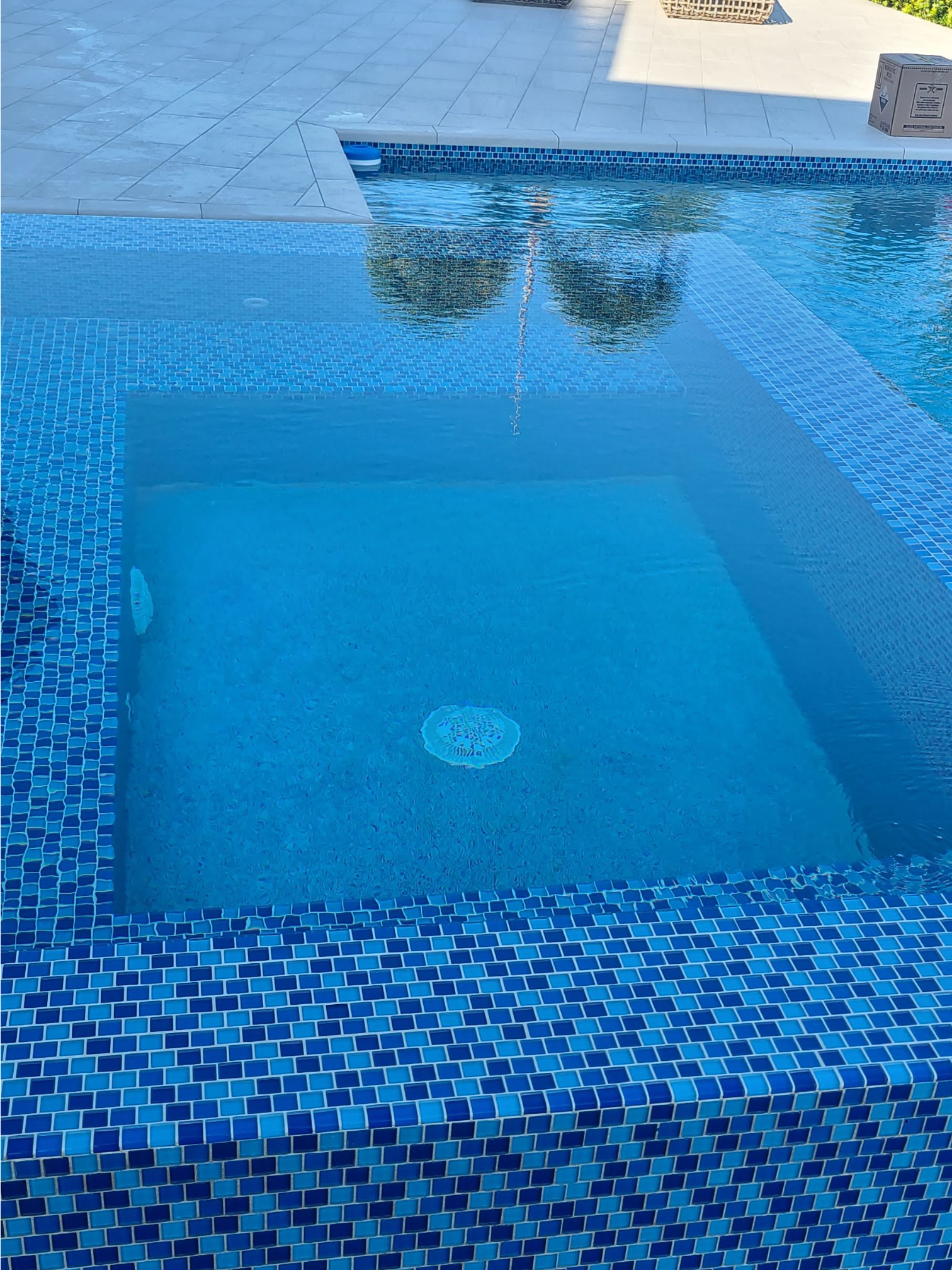 Dolphin Pools - Pool Renovations